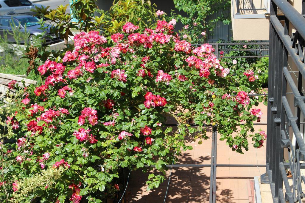 Flowers Apartments Nesebar Esterno foto